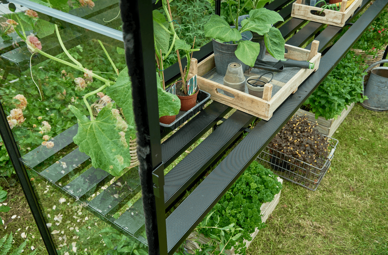 Halls Tuinkas Birdlip 44 veiligheidsglas Zwart | iGarden