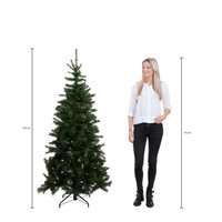 Triumph Tree Forest Frosted Pine Green 185 thumbnail