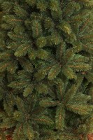 Triumph Tree Forest Frosted Pine Green 215 (showmodel) thumbnail