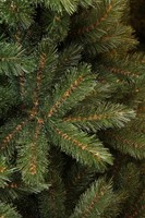 Triumph Tree Forest Frosted Pine Green 215 (showmodel) thumbnail