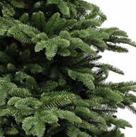 Triumph Tree Slim Abies Nordmann de Luxe 230 (showroom) thumbnail