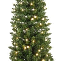 Everlands Pencil pine 180 cm LED thumbnail