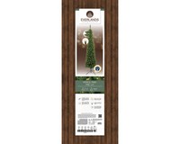 Everlands Pencil pine 210 cm LED thumbnail