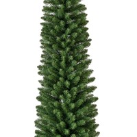 Everlands Pencil pine 210 cm thumbnail