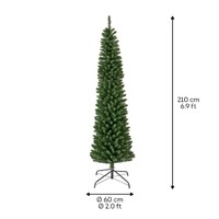 Everlands Pencil pine 210 cm thumbnail