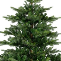 Everlands Grandis fir 150 cm thumbnail