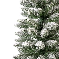 Everlands Pencil pine Snowy 180 cm thumbnail