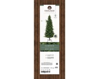 Everlands Killington fir 210 cm thumbnail