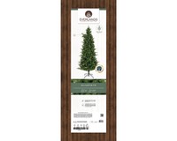 Everlands Killington fir 240 cm thumbnail