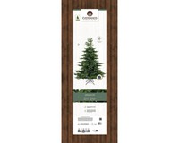 Everlands Grandis fir 270 cm thumbnail