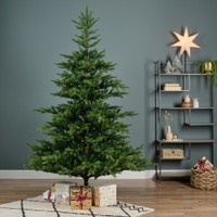 Everlands Grandis fir 270 cm thumbnail