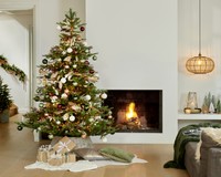Everlands Grandis fir 270 cm thumbnail