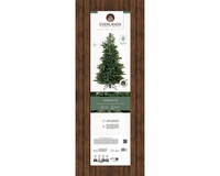 Everlands Geneva Fir 180 cm thumbnail