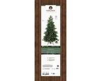 Everlands Geneva Fir 210 cm thumbnail