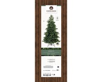 Everlands Geneva Fir 240 cm thumbnail