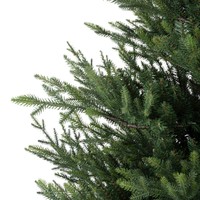 Everlands Norway spruce 270 cm thumbnail