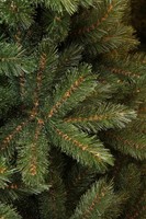 Afbeelding bij Triumph Tree Forest Frosted Pine Green 155