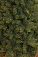 Afbeelding bij Triumph Tree Forest Frosted Pine Green 215 Vk