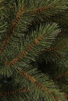 Triumph Tree Bristlecone Fir Green 185 thumbnail