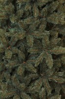 Triumph Tree Forest Frosted Pine Newgrowth Blue 155 (showmodel) thumbnail