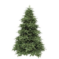 Triumph Tree Abies Nordmann de Luxe Green 230 thumbnail