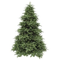 Triumph Tree Abies Nordmann de Luxe Green 260 thumbnail