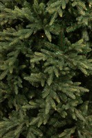 Triumph Tree Harrison X-mas Tree Green 230 thumbnail