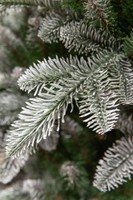 Triumph Tree Hallarin Frosted Green 230 thumbnail