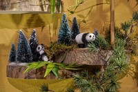 Afbeelding bij LuVille Panda Family 