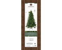 Everlands Galloway spruce 180 cm thumbnail