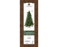 Everlands Galloway spruce 210 cm thumbnail