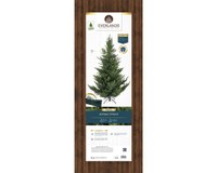 Everlands Norway spruce 180 cm thumbnail