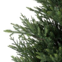 Afbeelding bij Everlands Norway spruce 270 cm