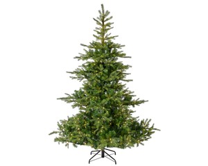 Everlands Grandis fir 210 cm LED