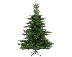 Everlands Grandis fir 150 cm