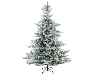 Everlands Grandis fir Snowy 180 cm