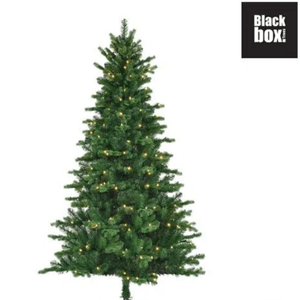 Black Box Milton Spruce LED H185 Groen (showmodel)