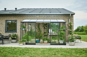 Halls Muurkas Qube LT 612 veiligheidsglas Zwart