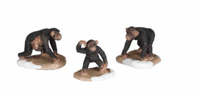 LuVille Chimpanzee Family