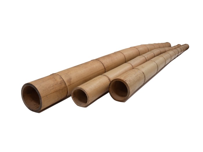 Afbeelding bij Bamboepaal 270 cm 7-8 cm dik