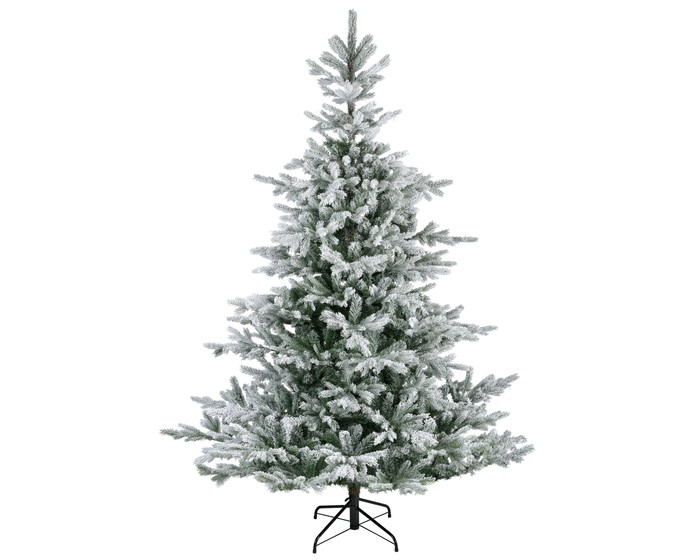 Everlands Grandis fir Snowy 240 cm