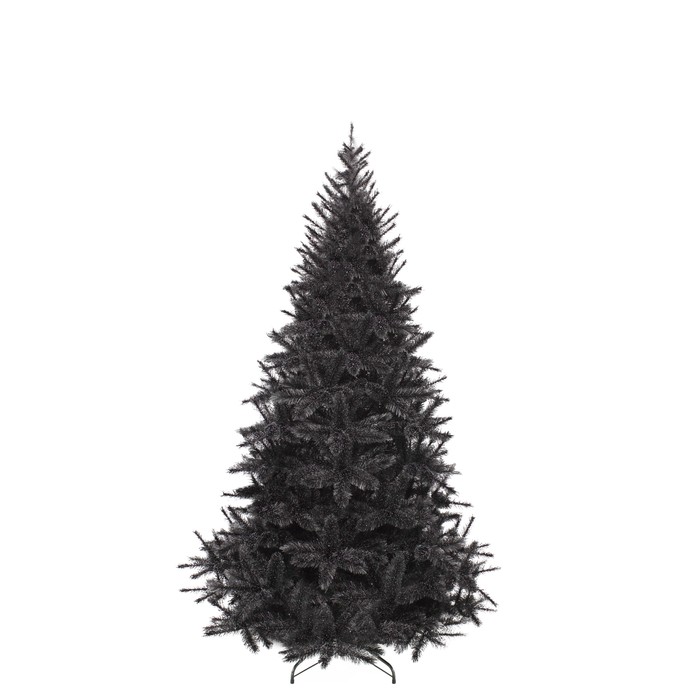 Triumph Tree Forest Frosted Bristlecone Fir Black 185