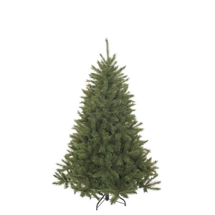 Triumph Tree Bristlecone Fir Green 185