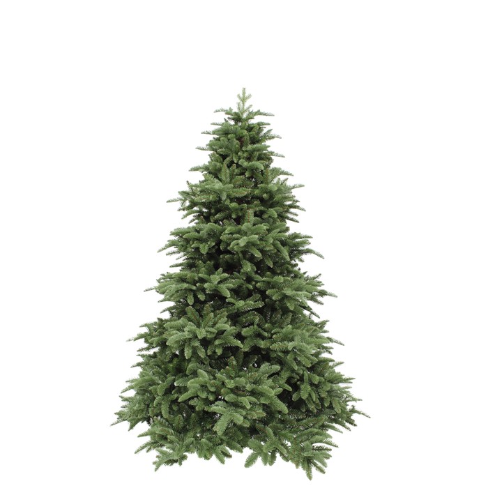 Triumph Tree Abies Nordmann de Luxe Green 185 (showmodel)