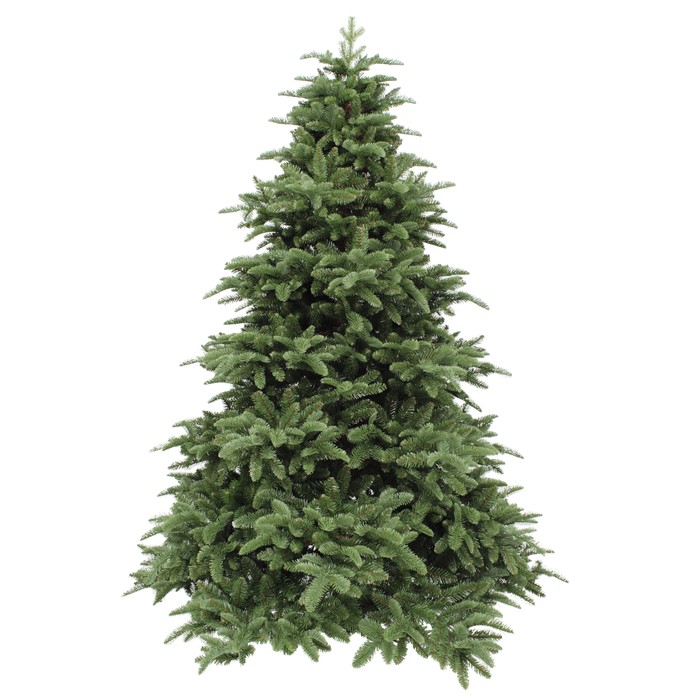 Triumph Tree Abies Nordmann de Luxe Green 260