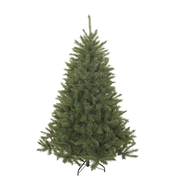 Triumph Tree Forest Frosted Bristlecone Fir Green 230