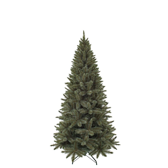 Triumph Tree Slim Forest Frosted Pine Newgrowth Blue 185 (showmodel)