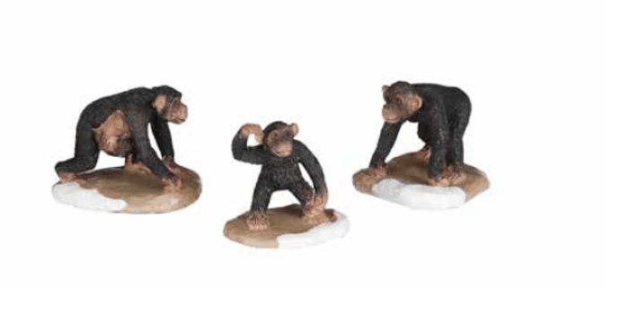 Afbeelding bij LuVille Chimpanzee Family