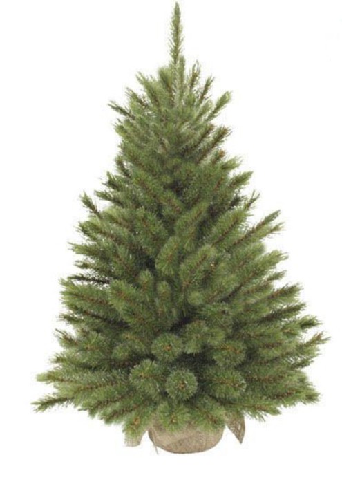 Triumph Tree Burlap Forest Frosted Pine Green 60